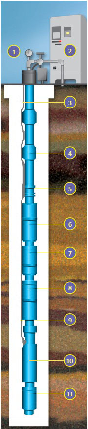 Reach ESP Electric Submersible Pumps